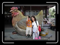 IMG_9948 * 850 x 608 * (249KB)