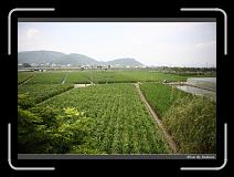 IMG_0359 * 850 x 608 * (246KB)