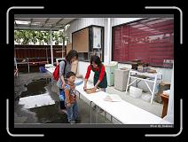 IMG_0469 * 850 x 608 * (244KB)