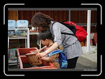IMG_0479 * 850 x 608 * (244KB)