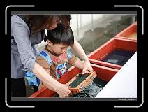 IMG_0480 * 850 x 608 * (225KB)