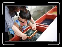IMG_0481 * 850 x 608 * (223KB)