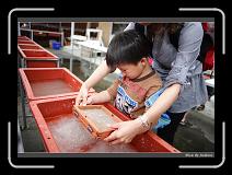 IMG_0488 * 850 x 608 * (240KB)