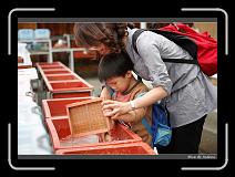IMG_0492 * 850 x 608 * (232KB)