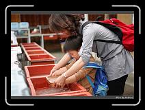 IMG_0493 * 850 x 608 * (233KB)