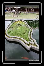 IMG_0507 * 566 x 910 * (247KB)