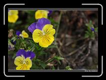IMG_0539 * 850 x 608 * (243KB)