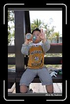 IMG_0674 * 566 x 910 * (242KB)