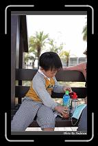 IMG_0675 * 566 x 910 * (227KB)