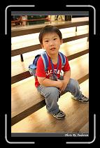 IMG_0737 * 566 x 910 * (232KB)