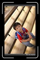 IMG_0742 * 566 x 910 * (223KB)