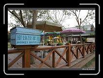 IMG_0772 * 850 x 608 * (241KB)