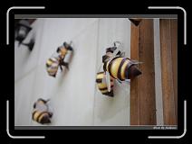 IMG_0776 * 850 x 608 * (242KB)