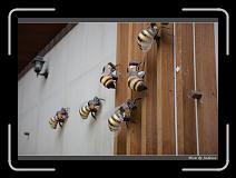 IMG_0778 * 850 x 608 * (242KB)