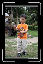 IMG_0794 * 566 x 910 * (247KB)