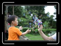IMG_0796 * 850 x 608 * (234KB)