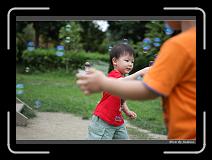 IMG_0802 * 850 x 608 * (240KB)