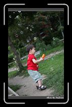 IMG_0813 * 566 x 910 * (232KB)