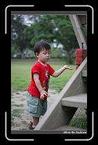 IMG_0823 * 566 x 910 * (229KB)