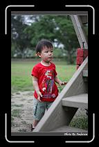 IMG_0824 * 566 x 910 * (232KB)