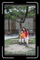 IMG_0831 * 566 x 910 * (240KB)