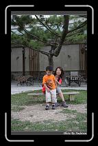 IMG_0832 * 566 x 910 * (245KB)