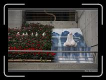 IMG_0837 * 850 x 608 * (247KB)