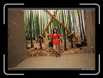 IMG_0864 * 850 x 608 * (239KB)