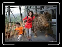 IMG_0901 * 850 x 608 * (245KB)