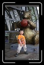 IMG_0906 * 566 x 910 * (241KB)