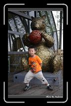 IMG_0908 * 566 x 910 * (248KB)