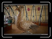 IMG_0914 * 850 x 608 * (249KB)