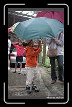 IMG_0943 * 566 x 910 * (244KB)