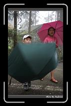 IMG_0947 * 566 x 910 * (229KB)