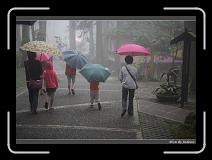 IMG_0949 * 850 x 608 * (246KB)