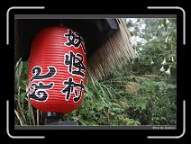 IMG_0988 * 850 x 608 * (235KB)