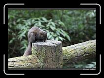 IMG_1049 * 850 x 608 * (245KB)