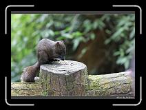 IMG_1055 * 850 x 608 * (235KB)