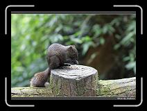 IMG_1057 * 850 x 608 * (243KB)