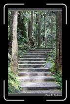 IMG_1060 * 566 x 910 * (244KB)