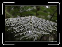 IMG_1061 * 850 x 608 * (218KB)