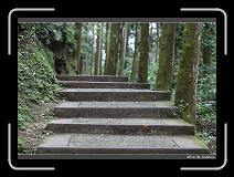 IMG_1063 * 850 x 608 * (236KB)