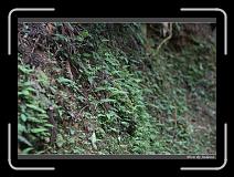 IMG_1064 * 850 x 608 * (247KB)