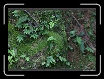 IMG_1071 * 850 x 608 * (243KB)