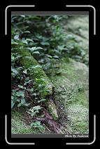 IMG_1076 * 566 x 910 * (236KB)