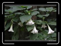 IMG_1092 * 850 x 608 * (232KB)