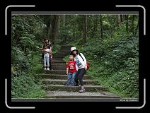 IMG_1097 * 850 x 608 * (248KB)