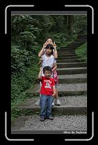 IMG_1105 * 566 x 910 * (249KB)