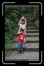 IMG_1106 * 566 x 910 * (246KB)