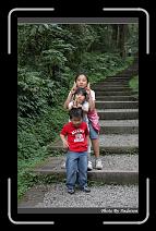 IMG_1108 * 566 x 910 * (243KB)